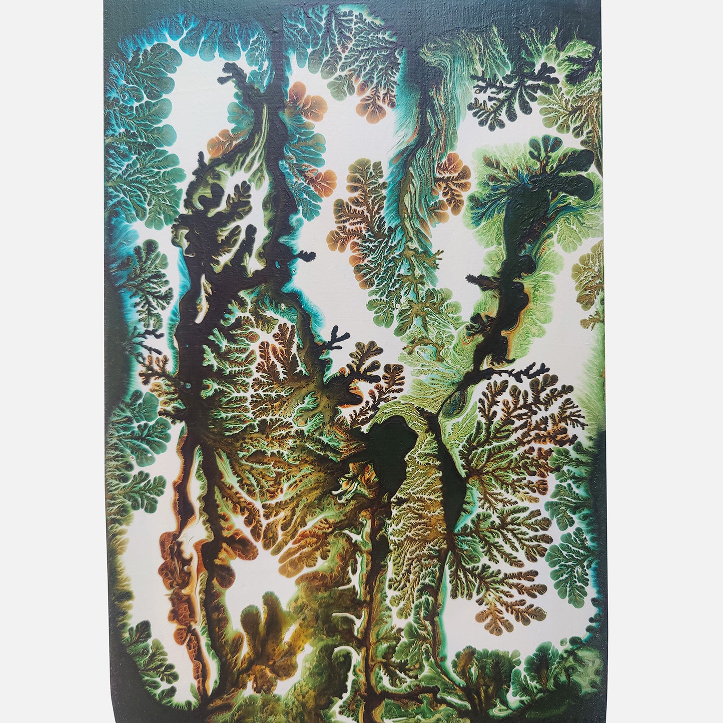 Tree of Wonder XII